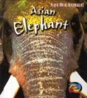 Image for Asian elephant
