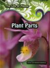 Image for Plant Parts