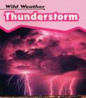 Image for Thunderstorm