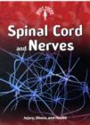 Image for Spinal cord and nerves  : injury, illness, and health