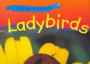 Image for Ladybirds