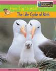 Image for The life cycle of birds