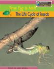 Image for The Life Cycle of Insects