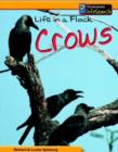 Image for Life in a flock - crows