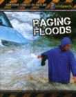 Image for Raging Floods