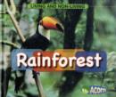 Image for In a Rain Forest
