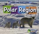 Image for Polar region