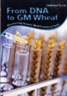 Image for DNA to GM Wheat: Discover Genetically Modified Food