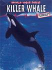 Image for Killer whale  : in danger of extinction!