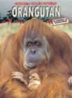 Image for Orangutan  : in danger of extinction!