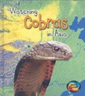 Image for Watching Cobras in Asia