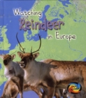 Image for Watching Reindeer in Europe