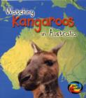 Image for Watching kangaroos in Australia