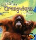 Image for Watching orangutans in Asia