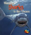 Image for Watching sharks in the oceans