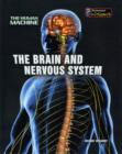 Image for The Brain and Nervous System