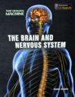 Image for The Brain and Nervous System