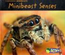 Image for Minibeast Senses