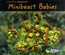 Image for Minibeast Babies