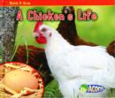 Image for A chicken&#39;s life