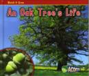 Image for An oak tree&#39;s life