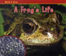 Image for A frog&#39;s life