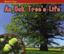 Image for An oak tree&#39;s life