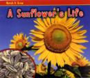 Image for A Sunflower&#39;s Life