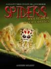 Image for Spiders and other invertebrates
