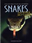 Image for Snakes and other reptiles