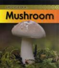 Image for Life Cycle of a Mushroom
