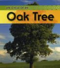 Image for Life cycle of an-- oak tree