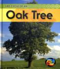 Image for Life Cycle of an Oak tree