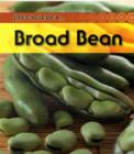 Image for Life cycle of a-- broad bean
