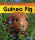 Image for Life Cycle of a Guinea Pig