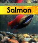 Image for Life Cycle of a Salmon