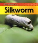 Image for Life cycle of a-- silkworm
