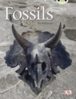 Image for Bug Club Guided Non Fiction Year Two Gold A Fossils