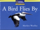 Image for National Geographic Year 1 Yellow Independent Reader: A Bird Flies by