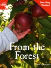 Image for Fantastic Forest Pink Level Fiction: From the Forest Teaching Version
