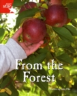 Image for Fantastic Forest: From the Forest Red Level Non-Fiction (Pack of 6)