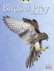 Image for Bug Club Non-fiction White A/2A Birds of Prey 6-pack