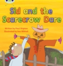 Image for Bug Club Phonics - Phase 5 Unit 22: Sid and the Scarecrow Dare