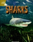 Image for Rigby Star Indep Gold Shark Reader Pack (3 Pack)
