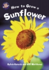 Image for Star Shared: How to Grow a Sunflower/Hyacinth Big Book