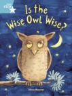 Image for Rigby Star Year 2: Turquoise Level : Is the Wise Owl Wise?
