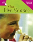 Image for Rigby Star Non-fiction Guided Reading Pink Level: Our Five Senses Teaching Version