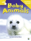 Image for Rigby Star Non-fiction Guided Reading Yellow Level: Baby Animals Teaching Version