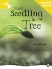 Image for Rigby Star Non-fiction Guided Reading Yellow Level: From Seedling to Tree Teaching Version