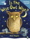 Image for Rigby Star Guided Reading Turquoise Level: Is the wise owl wise? Teaching Version